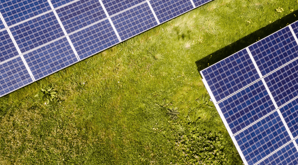 Paneles solares instalados en el campo